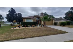 528 PAINTED LEAF DRIVE, BROOKSVILLE, FL 34604 Sold 04/01/25
