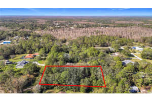 0 RAVENS BROOK ROAD, WESLEY CHAPEL, FL 33544 Sold 04/09/25
