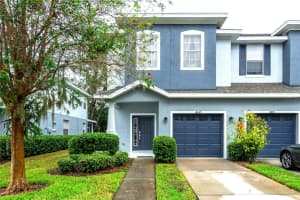 4445 Amberly Oaks Ct, TAMPA