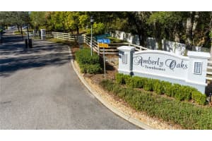 4445 AMBERLY OAKS COURT, TAMPA, FL 33614 - MLS#MFRTB8325959