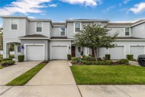 7013 Summer Holly Pl, RIVERVIEW