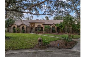 11201 KERRY HILLS COURT, RIVERVIEW, FL 33569 Sold 05/30/25