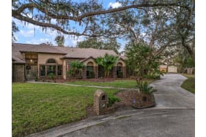 11201 KERRY HILLS COURT, RIVERVIEW, FL 33569 Sold 05/30/25