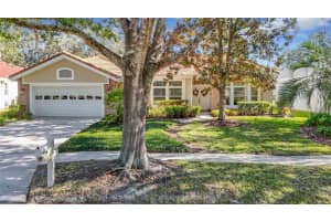 17853 GREEN WILLOW DRIVE, TAMPA, FL 33647 Sold 01/24/25