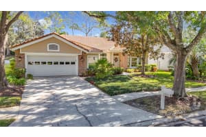 17853 GREEN WILLOW DRIVE, TAMPA, FL 33647 Sold 01/24/25