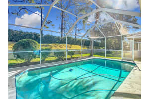 17853 GREEN WILLOW DRIVE, TAMPA, FL 33647 Sold 01/24/25