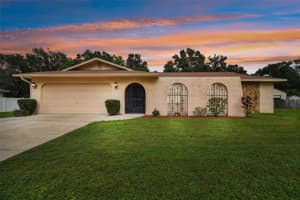 3116 GULFWIND DRIVE, LAND O LAKES, FL 34639 Sold 02/03/25