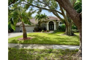 3194 MEADOW VIEW LANE, PALM HARBOR, FL 34683 Sold 05/14/25