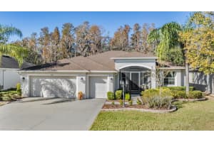 10190 HYANNISPORT LOOP, SAN ANTONIO, FL 33576 Sold 02/05/25