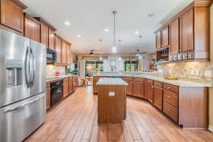 10190 HYANNISPORT LOOP, SAN ANTONIO, FL 33576 Sold 02/05/25