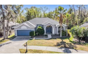 12306 Woodlands Cir, DADE CITY
