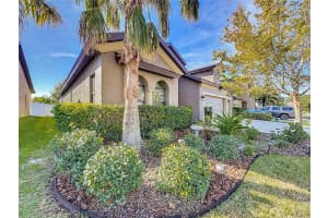 11409 DRIFTING LEAF DRIVE, RIVERVIEW, FL 33579 Sold 08/29/25