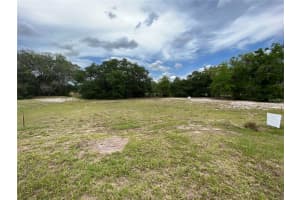 12917 SERONERA VALLEY COURT, SPRING HILL, FL 34610 - MLS#MFRTB8326283