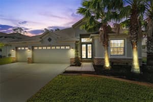 27200 HAWKS NEST CIRCLE, WESLEY CHAPEL, FL 33544 Sold 01/10/25
