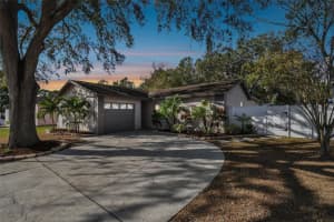 14005 ARBOR KNOLL CIRCLE, TAMPA, FL 33625 Sold 01/07/25