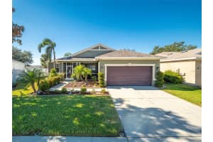 11415 LAUREL BROOK COURT, RIVERVIEW, FL 33569 Sold 02/21/25