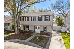 4806 JUNO STREET, TAMPA, FL 33629 Sold 12/18/24