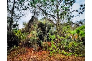 FIELDING ST, NORTH PORT, FL 34288 Sold 08/21/25