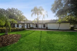 15909 Amberly Dr, TAMPA