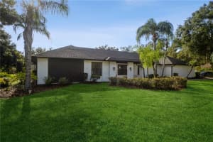 15909 AMBERLY DRIVE, TAMPA, FL 33647 - MLS#MFRTB8326694