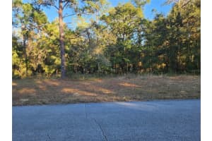 9155 ALAMEDA DRIVE, CITRUS SPRINGS, FL 34434 - MLS#MFRTB8326762