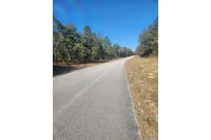 9155 ALAMEDA DRIVE, CITRUS SPRINGS, FL 34434 - MLS#MFRTB8326762