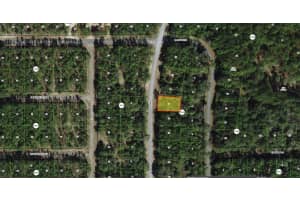 9155 ALAMEDA DRIVE, CITRUS SPRINGS, FL 34434 - MLS#MFRTB8326762