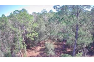 9155 ALAMEDA DRIVE, CITRUS SPRINGS, FL 34434 - MLS#MFRTB8326762