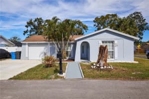 10111 LAZY CREEK COURT, TAMPA, FL 33615 Sold 01/08/25