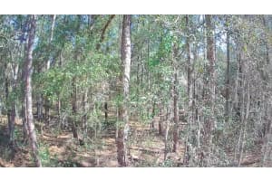 8587 STERN WAY, CITRUS SPRINGS, FL 34434 - MLS#MFRTB8326823