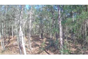 8587 STERN WAY, CITRUS SPRINGS, FL 34434 - MLS#MFRTB8326823