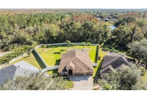 19829 MORDEN BLUSH DRIVE, LUTZ, FL 33558 Sold 01/08/25
