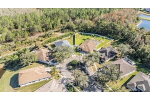 19829 MORDEN BLUSH DRIVE, LUTZ, FL 33558 Sold 01/08/25