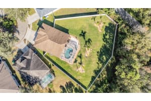 19829 MORDEN BLUSH DRIVE, LUTZ, FL 33558 Sold 01/08/25