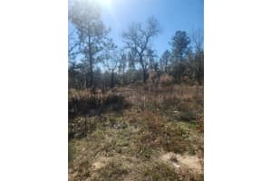 2848 BUCCANEER LANE, CITRUS SPRINGS, FL 34433 - MLS#MFRTB8326842