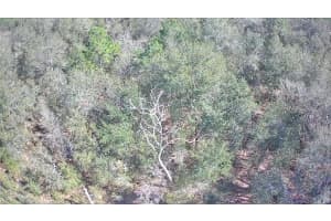 2848 BUCCANEER LANE, CITRUS SPRINGS, FL 34433 - MLS#MFRTB8326842