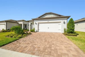 6098 SHOREBIRD BRANCH, LAND O LAKES, FL 34638 Sold 03/06/25