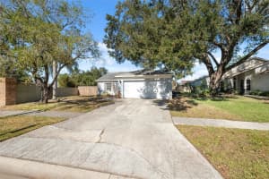 11117 BLOOMINGTON DRIVE, TAMPA, FL 33635 Sold 02/09/25