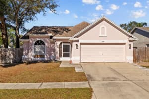 1202 Sawdust Ct, VALRICO