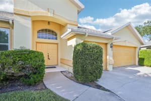 4039 EAGLES NEST DRIVE, VALRICO, FL 33596 Sold 02/04/25