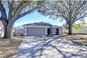 1732 TINKER DRIVE, LUTZ, FL 33559 Sold 12/30/24