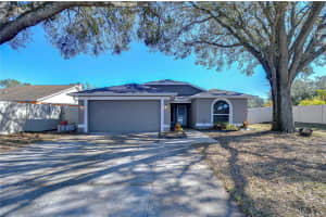 1732 TINKER DRIVE, LUTZ, FL 33559 Sold 12/30/24