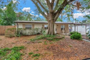 807 MONACO DRIVE, TAMPA, FL 33613 Sold 03/05/25