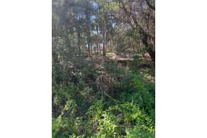 3145 35TH DRIVE, OKEECHOBEE, FL 34972 - MLS#MFRTB8327181