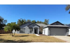 1533 ROLLING MEADOW DRIVE, VALRICO, FL 33594 Sold 02/28/25