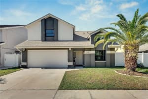 11228 SHADYBROOK DRIVE, TAMPA, FL 33625 Sold 04/07/25