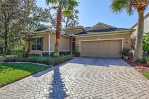 11519 COVENTRY GROVE CIRCLE, LITHIA, FL 33547 Sold 02/11/25