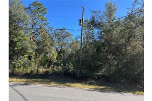 7991 N TINY LILY DRIVE, CITRUS SPRINGS, FL 34434 - MLS#MFRTB8327305