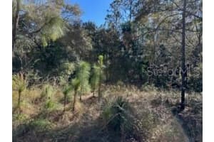 7991 N TINY LILY DRIVE, CITRUS SPRINGS, FL 34434 - MLS#MFRTB8327305