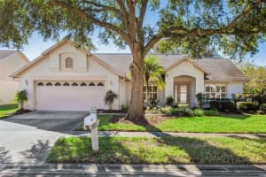28424 OPENFIELD LOOP, WESLEY CHAPEL, FL 33543 Sold 04/08/25